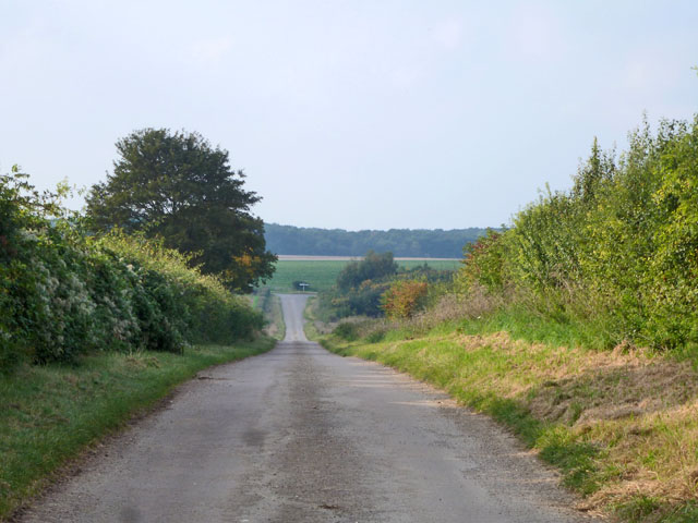 Webb's Road