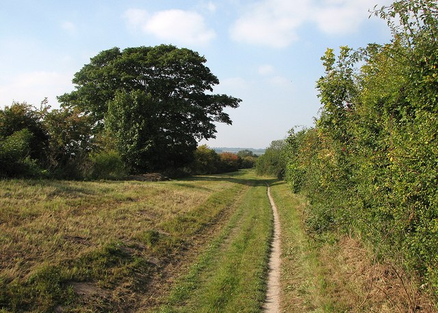 Towards Cambridge on The Roman Road © John Sutton cc-by-sa/2.0 ...