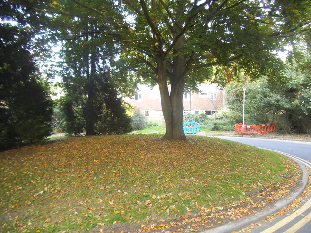 Roundabout at the end of Court Wood Lane