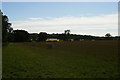 Ickworth Park: view down the side of Lady Hervey