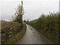 SO3265 : Stapleton to Kinsham road by Richard Webb