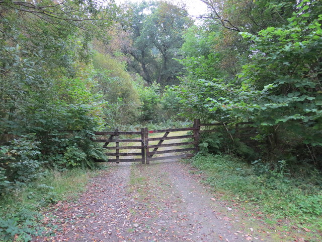 Gateway to the Tilhill forest at Glendaruel