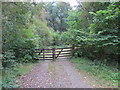 NS0085 : Gateway to the Tilhill forest at Glendaruel by John Ferguson