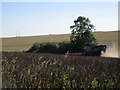 Harvesting beans