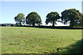 Field Next to Grove Well Farm