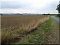 Lincolnshire farmland