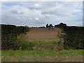 Gap in the hedge on Waithe Lane