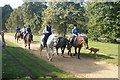 TQ2780 : View of horseriders and a dog coming up the bridleway in Hyde Park #2 by Robert Lamb