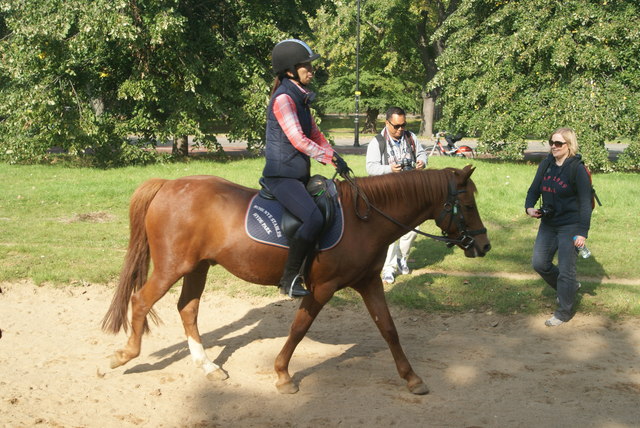 View of a horserider on the bridleway next to N Carriage Drive from the path in Hyde Park
