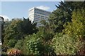 View of the Lancaster Hotel from Hyde Park #3