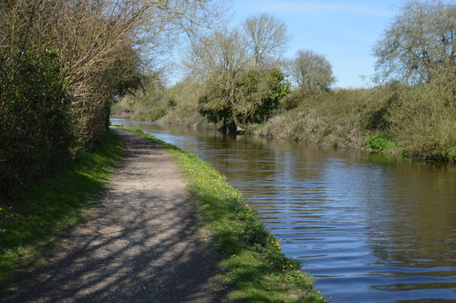National Cycle Route 2 by the Chichester Canal