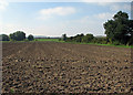 Ploughland by the Cam (or Granta) in early autumn