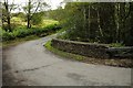 Bridge crossing Nant y Gelynen