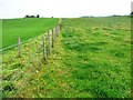 Public footpath running east from Wesham