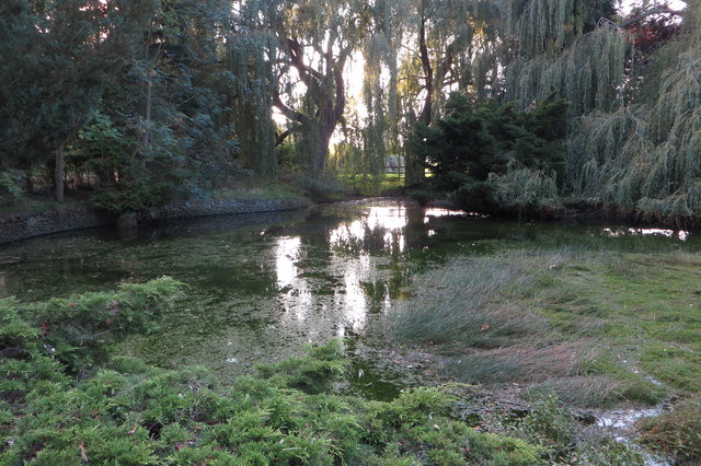 Pond by Kingshill Farm