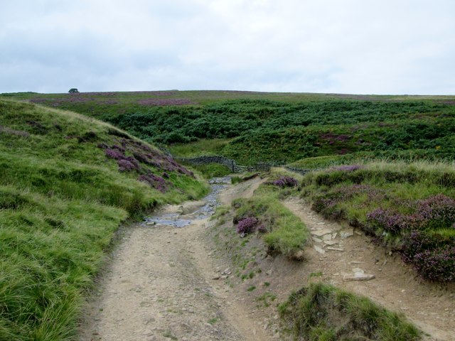 Track  down  to  gate  and  ford  at  Blackley  Clough