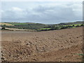 Ploughed field near Pedna Park