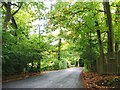 Court Road, Ightham