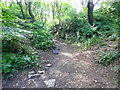 Public footpath on a quarry track through a rock cutting, Strangstry Wood