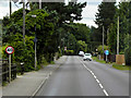 A1065, Swaffham Road, South of Ickburgh