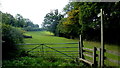 Footpath following the Leigh Brook