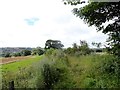 Path to Stobbilee Farm