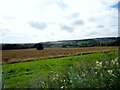 View south from the A691 near Kaysburn