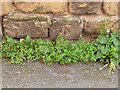 Bench Mark, Gateford Road