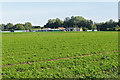 Watersplash Farm near Shepperton