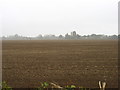 Large field near Warborough