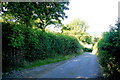 ST2609 : Country lane near Howley by Nigel Mykura