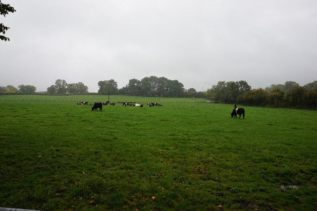 Field off Low Moor Lane, Scotton