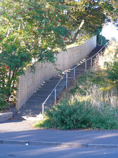 Steps on Brighouse FP81 at New Street, Clifton