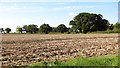 Fields by Capslough Farm