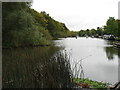 The River Thames from Abingdon Weir