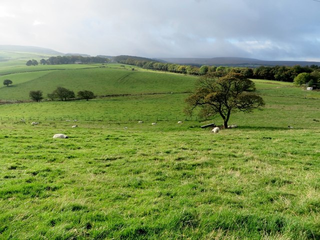 Farmland at Tockholes © Phil and Juliette Platt :: Geograph Britain and ...