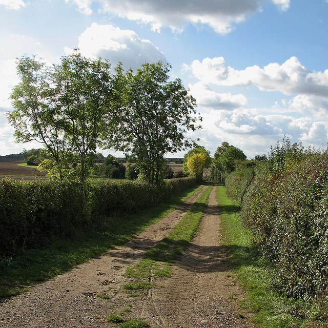 Bridle path from Childerley to St Neots Road