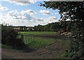 Field gate and New Wood