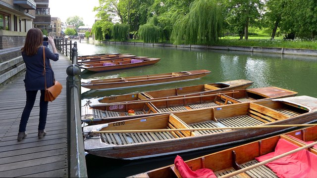 Cambridge - Punts on River Cam