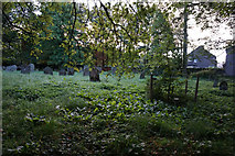 NY7441 : Overgrow graveyard at St John's Church, Garrigill by Ian S