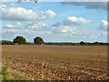 Field south of Haywards Hill