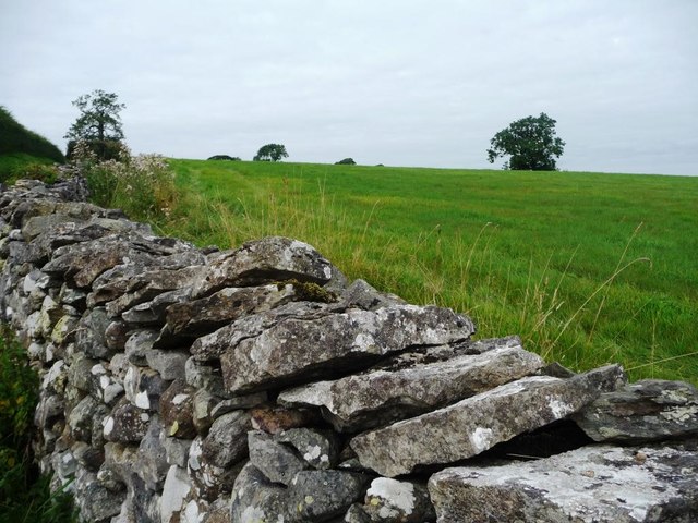 Carefully-laid drystone wall, above Askham