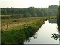 Carburton Water Meadows