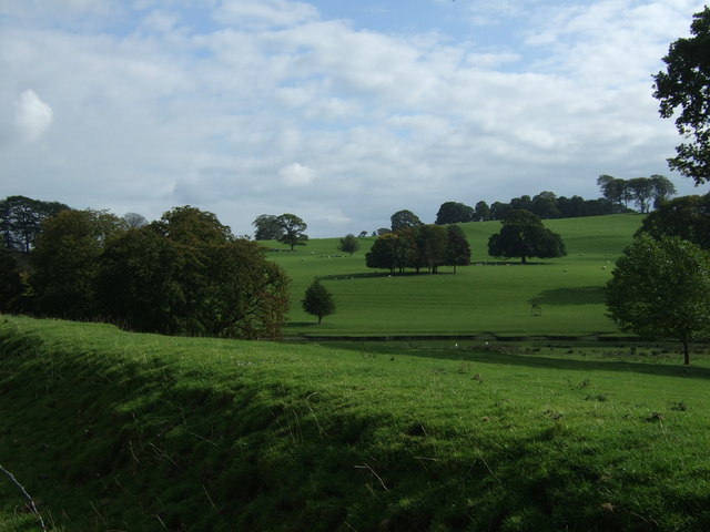 Grazing west of Milnthorpe © JThomas :: Geograph Britain and Ireland