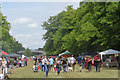 SP9210 : Crowds at the "Fun in the Park" day at Tring Park by Chris Reynolds
