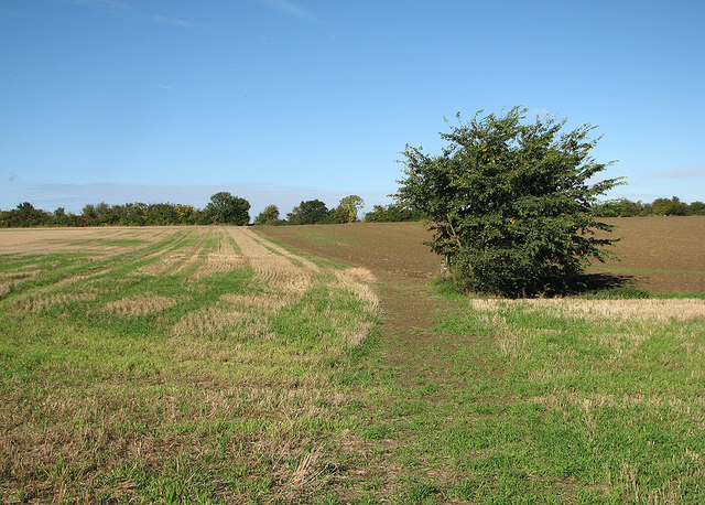 Paths to Childerley and Dry Drayton
