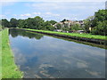 The New River by Palmerston Crescent, N13