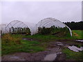 NO4623 : Polytunnels, Rhynd by Stanley Howe