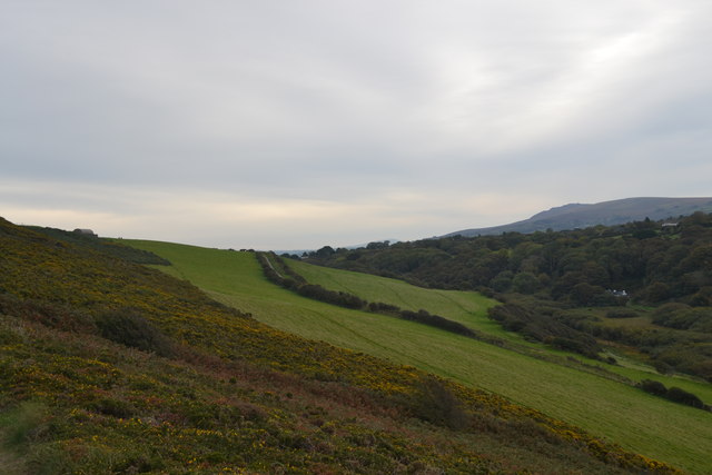 Fields And Gorse On Dinas Island