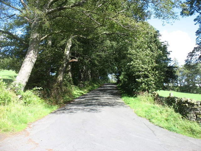 The lane to Aukside